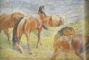 Franz Marc Graing Horses i (mk34) oil painting artist